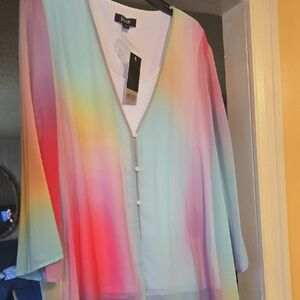 Investments Rainbow Sheer Blouse